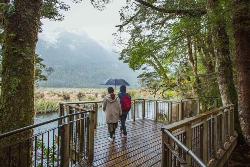 From Te Anau: Milford Sound Coach Tour and Cruise - The Itinerary: What to Expect on This Full-Day Adventure