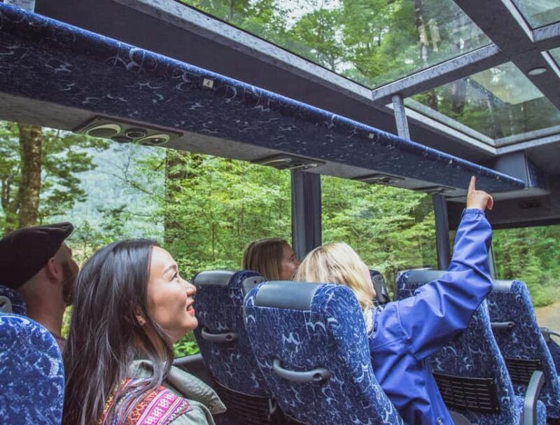 From Te Anau: Milford Sound Coach Tour and Cruise - The Breakdown: What Makes This Tour Stand Out