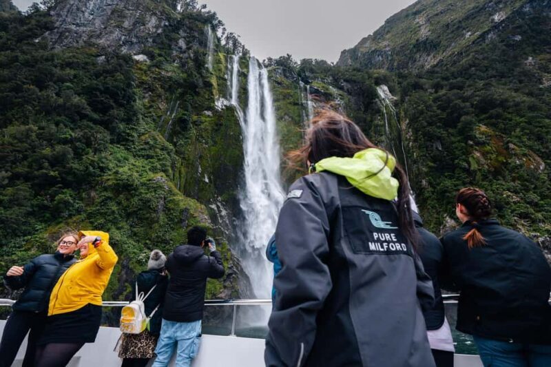 From Te Anau: Milford Sound Coach Tour and Cruise - Authentic Insights from Reviews