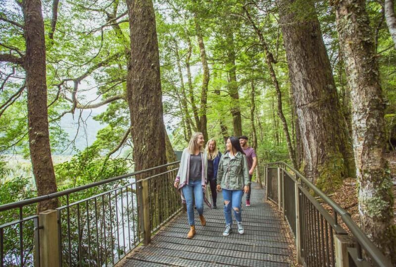 From Te Anau: Milford Sound Coach Tour and Cruise - Frequently Asked Questions
