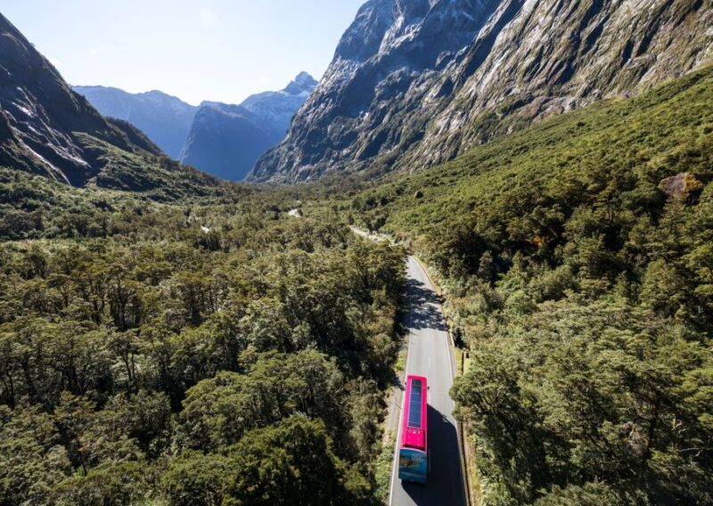 From Te Anau: Milford Sound Premium Bus Tour and Cruise - Key Points