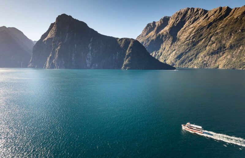 From Te Anau: Milford Sound Premium Bus Tour and Cruise - The Milford Sound Cruise: Close-Up Views of Waterfalls and Wildlife