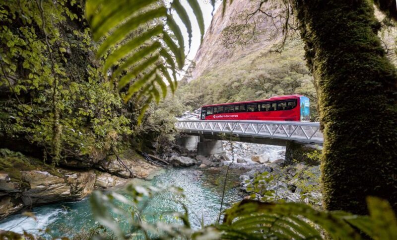 From Te Anau: Milford Sound Premium Bus Tour and Cruise - Authentic Insights from Reviews