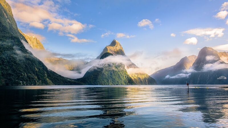 From Te Anau: Milford Sound Tour with Cruise and Lunch - The Sum Up