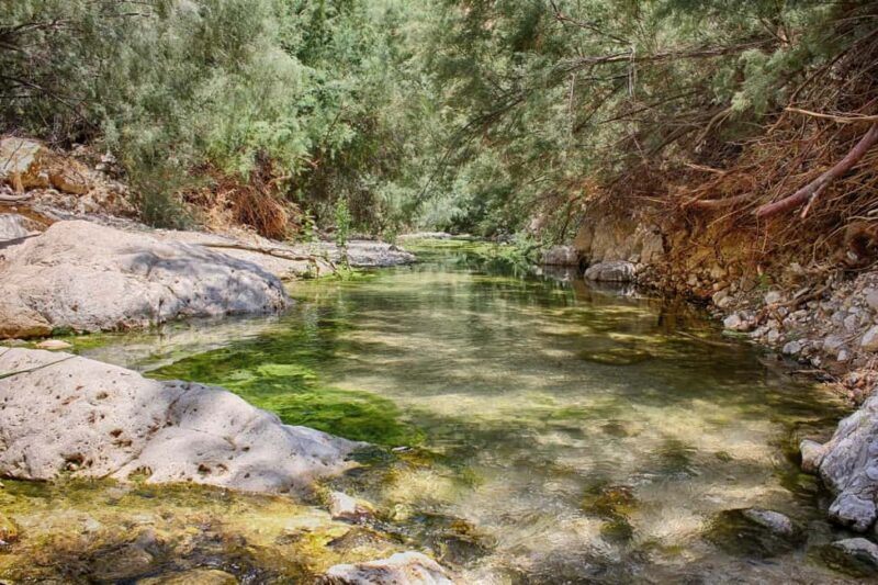 From Tel Aviv: Masada, Ein Gedi, and Dead Sea Guided Tour - What to Expect from the Tour