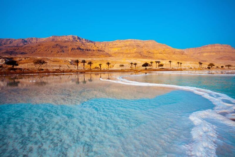 From Tel Aviv: Masada, Ein Gedi, and Dead Sea Guided Tour - Exploring Ein Gedi: The Oasis of Life