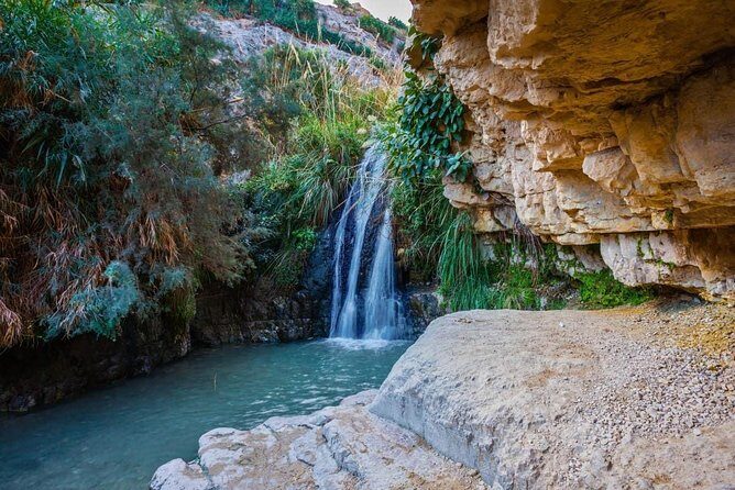 From Tel Aviv: Masada Sunrise, Ein Gedi & Dead Sea - Transportation and Group Size