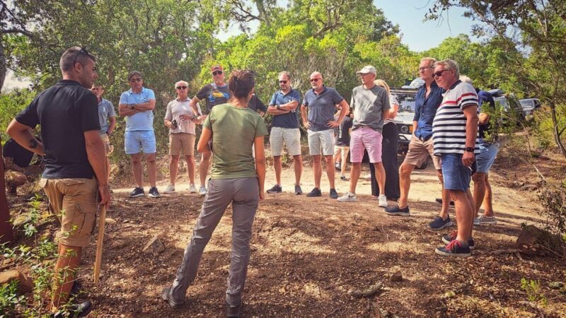 From Tempio: 4-hour jeep tour - What to Expect from the 4-Hour Jeep Tour