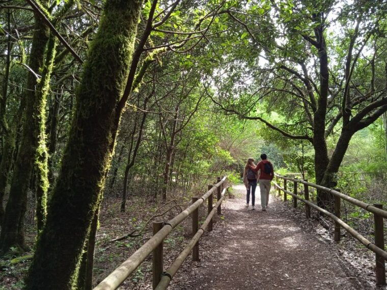 from-tenerife-la-gomera-day-trip-with-guide