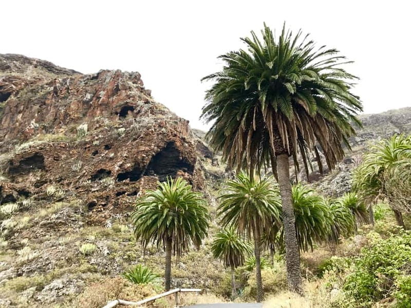 From Tenerife South: La Gomera Full-Day Trip with Transfers - Key Points