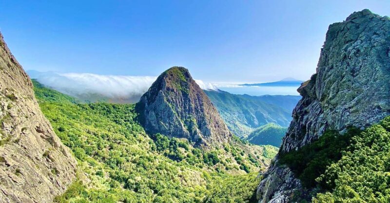 From Tenerife South: La Gomera Full-Day Trip with Transfers - Who Is This Tour Ideal For?