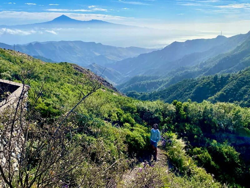 From Tenerife South: La Gomera Full-Day Trip with Transfers - FAQs About the La Gomera Full-Day Trip