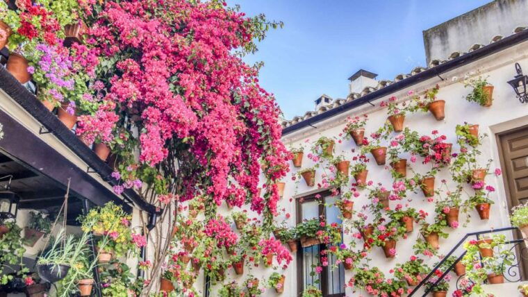 from-the-costa-del-sol-one-day-in-cordoba-mosque