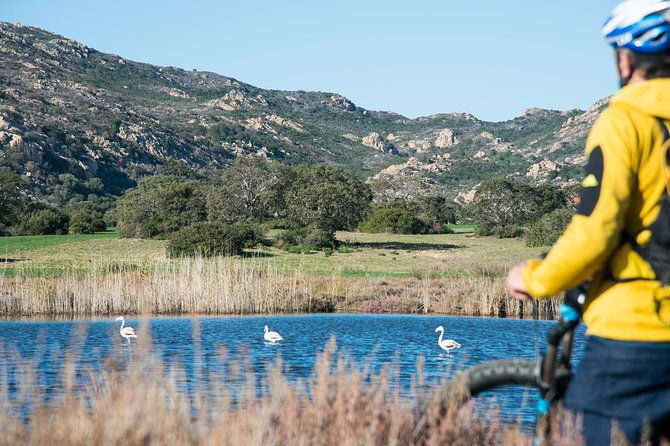 from-the-hills-to-oasi-biderosa-capo-comino-with-electric-mountain-bikes