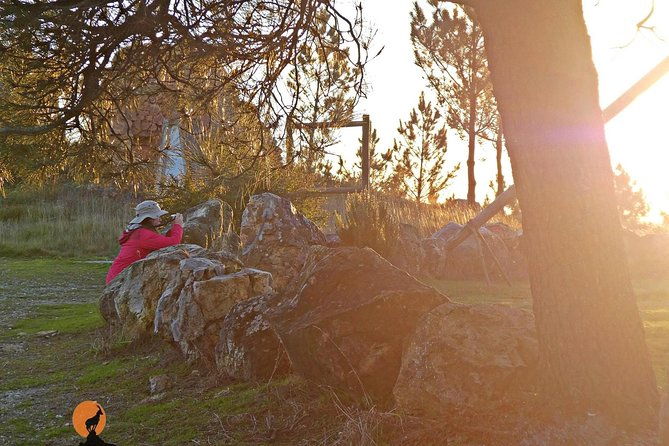 from-the-schist-villages-of-lousa-to-the-mills-of-penacova