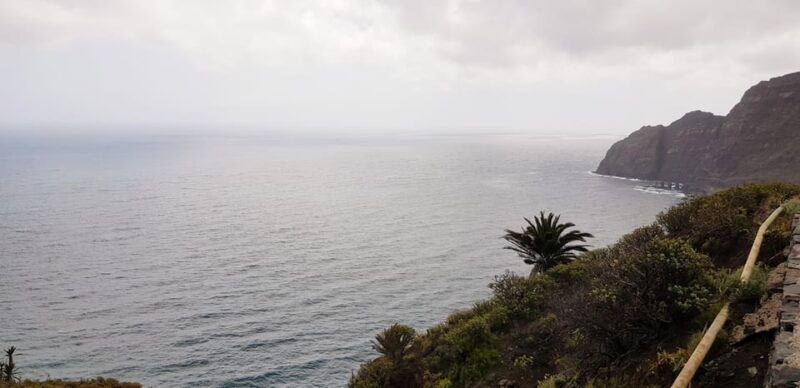 from-the-south-of-tenerife-la-gomera-full-day-trip