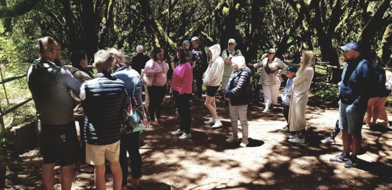 from-the-south-of-tenerife-la-gomera-full-day-trip