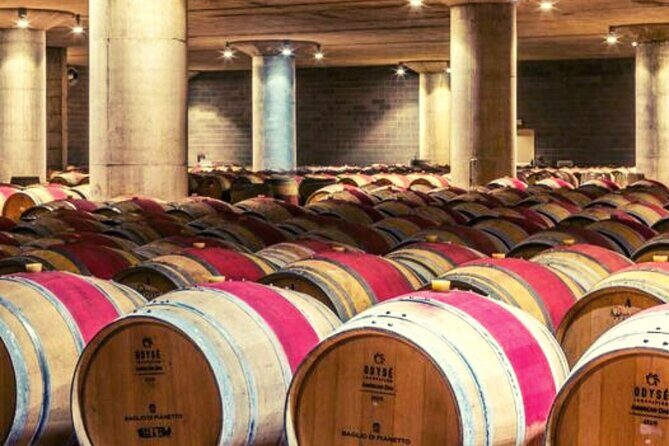 From the Vineyards to the Chalice: A Unique Tasting Experience - Final Thoughts