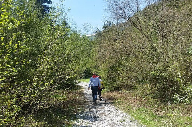 from-thessaloniki-olympus-and-dion-history-and-nature-day-trip