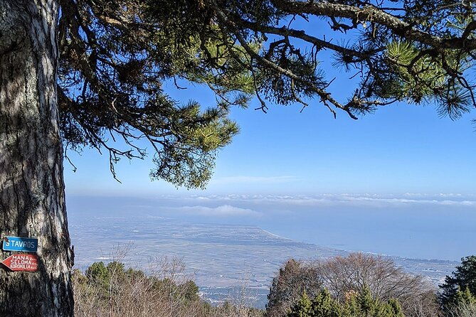 from-thessaloniki-olympus-and-dion-history-and-nature-day-trip