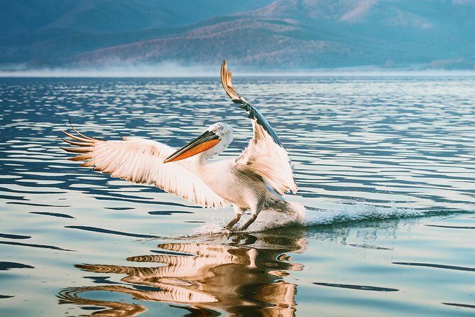 From Thessaloniki: Private Day Trip to Kerkini Lake - A Comprehensive Look at the Kerkini Lake Day Trip