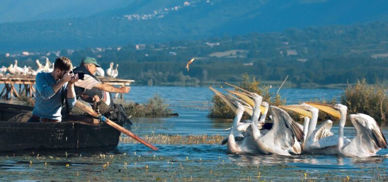 From Thessaloniki: Private Day Trip to Kerkini Lake - The Experience of the Guides