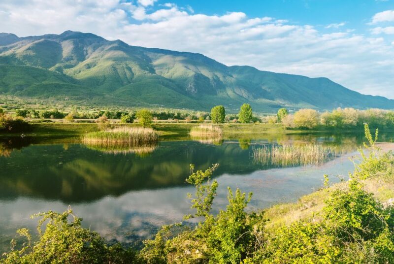 From Thessaloniki: Private Day Trip to Kerkini Lake - Who Is This Tour Perfect For?