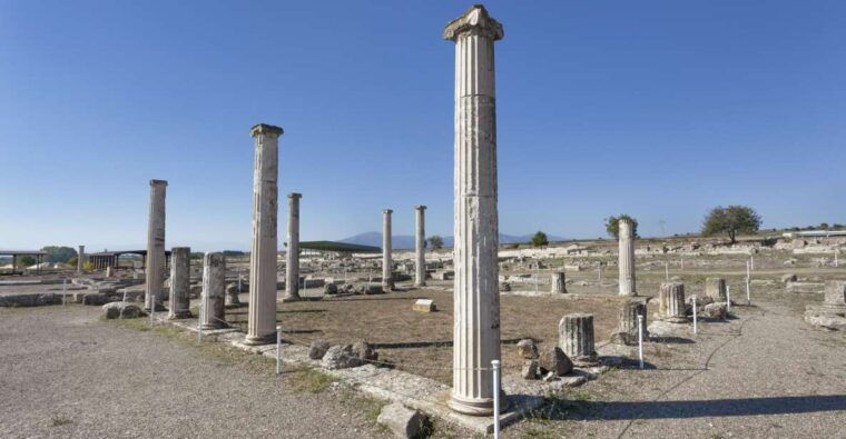 from-thessaloniki-vergina-veria-half-day-tour