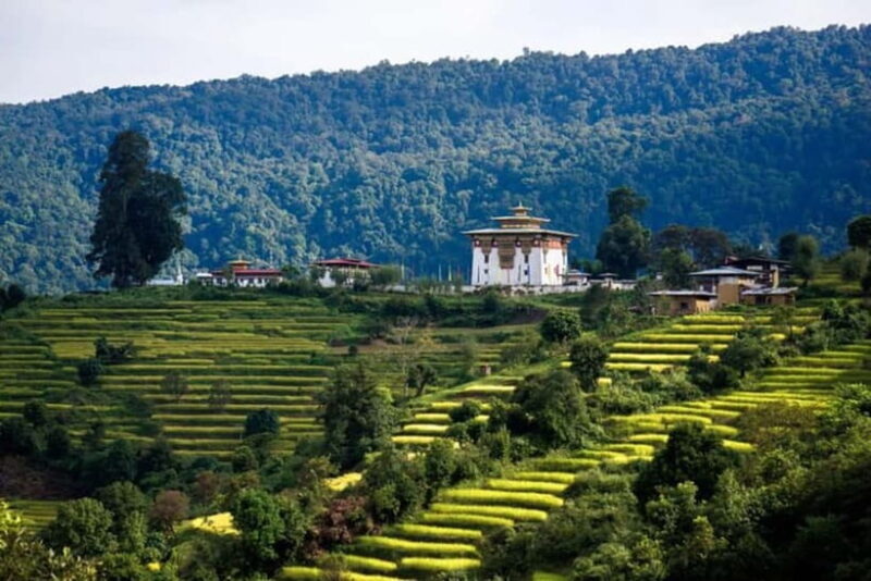 From Thimphu - Enchanting Bhutan tour with Guide 5 days Tour - Who This Tour Is Best For