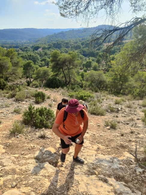 From Tholonet to the Bibémus quarries: Cézanne Hike - An Intimate Journey Through Provençal Nature and Art