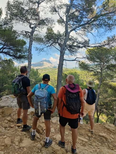 From Tholonet to the Bibémus quarries: Cézanne Hike - The Journey Begins: Nature, Flora, and Provençal Delights