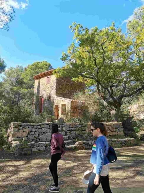 From Tholonet to the Bibémus quarries: Cézanne Hike - Cézanne’s Paintings Come to Life