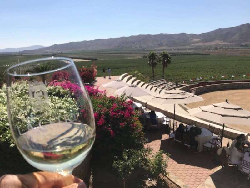 From Tijuana: Valle de Guadalupe Private Winery Tour - Is It Worth the Price?