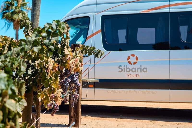 From Tijuana: Valle de Guadalupe Private Winery Tour - In Summary