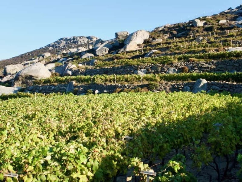 From Tinos: Stemnitsa Winery Tour with Tasting - FAQs about the Stemnitsa Winery Tour in Tinos  