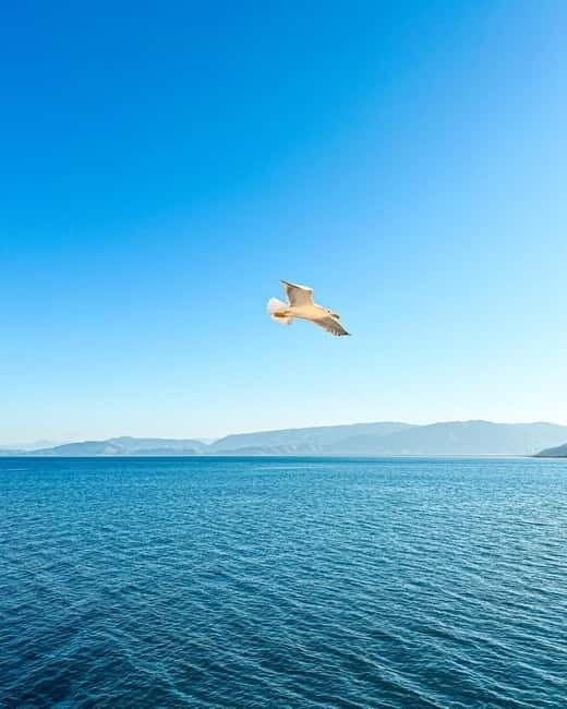 From Tirana: 2-Day Albanian Riviera & Dhermi Guided Tour - A Detailed Look at the 2-Day Albanian Riviera & Dhermi Guided Tour