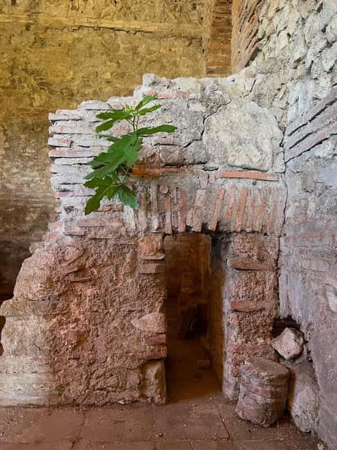 From Tirana: Berat City, Belshi Lake and Roman Baths Tour - A Closer Look at the Tour Itinerary