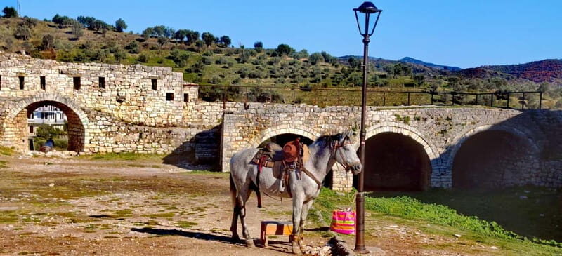 From Tirana: Berat UNESCO Heritage & Belshi Lake Tour - Introduction
