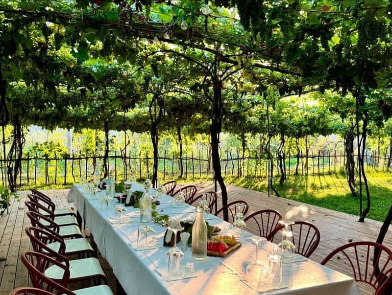 From Tirana: Berat UNESCO Heritage with Wine Tasting - Why Choose This Tour?