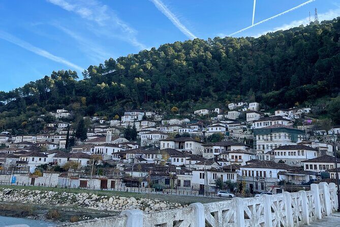 From Tirana: Berat UNESCO Site,Onufri Museum and Belshi Lake Tour - Who Is This Tour Best For?
