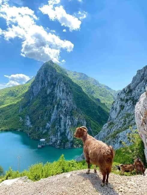 From Tirana: Bovilla Lake and Gamti Mountain Tour - What to Expect on the Tour