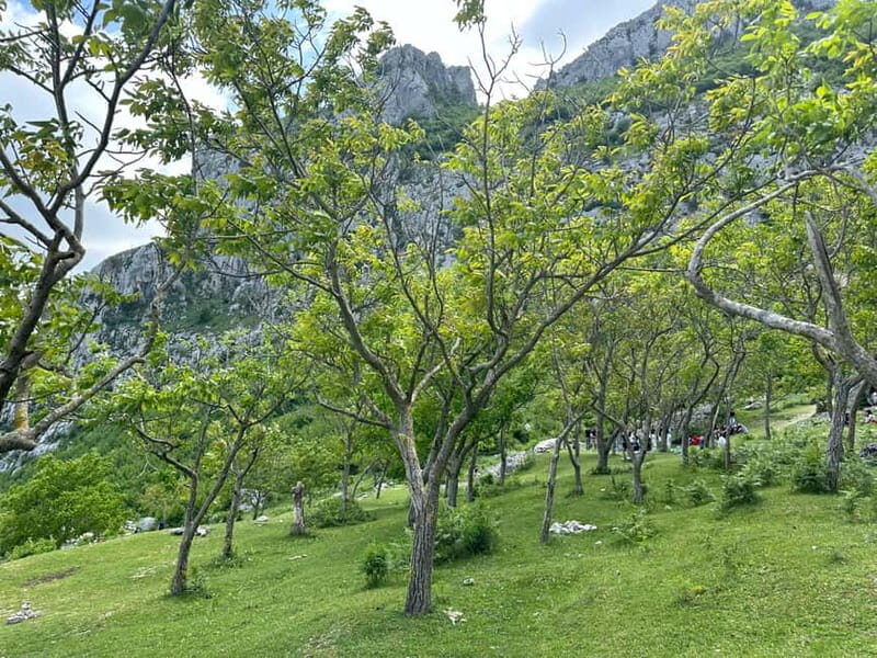 From Tirana: Bovilla Lake, Canyon and Gamti Mountain Hike - Value and Practicality