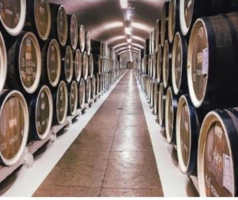 From Tirana: Cape of Rodon Castle, Beach & Wine Tasting Tour - The Sum Up