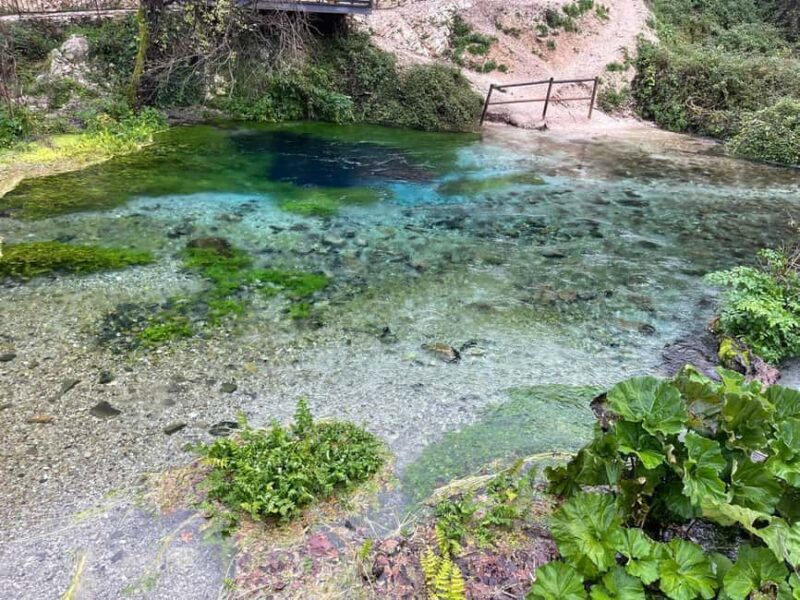 From Tirana/Durrës: Blue Eye, Ksamil and Gjirokastra Tour - A Deep Dive into the Experience