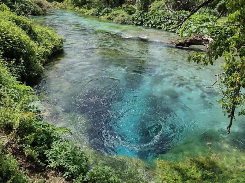 From Tirana/Durres: Gjirokastra UNESCO city & Blue Eye - The Sum Up: Who Is This Tour Best For?