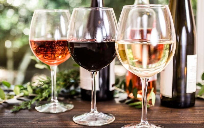 From Tirana/Durres/Golem: Cape of Rodon & Wine Tasting Tour. - Authentic Feedback from Travelers
