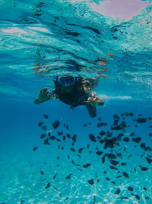 From Tirana/Durres/Golem: Vlora to Karaburun Speed Boat Trip - Post-Trip in Vlora: Free Time and Exploration