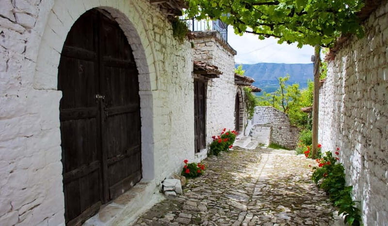 From Tirana & Durres: Group Tour of Apollonia Berat & Durres - Authentic Albanian Flavors and Cultural Insights