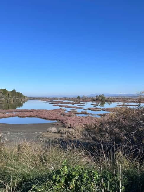 From Tirana/Durres : Karavasta Lagoon 4x4 Offroad Tour. - The Value of the Experience
