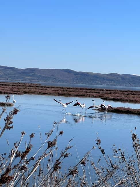 From Tirana/Durres : Karavasta Lagoon 4x4 Offroad Tour. - Final Thoughts